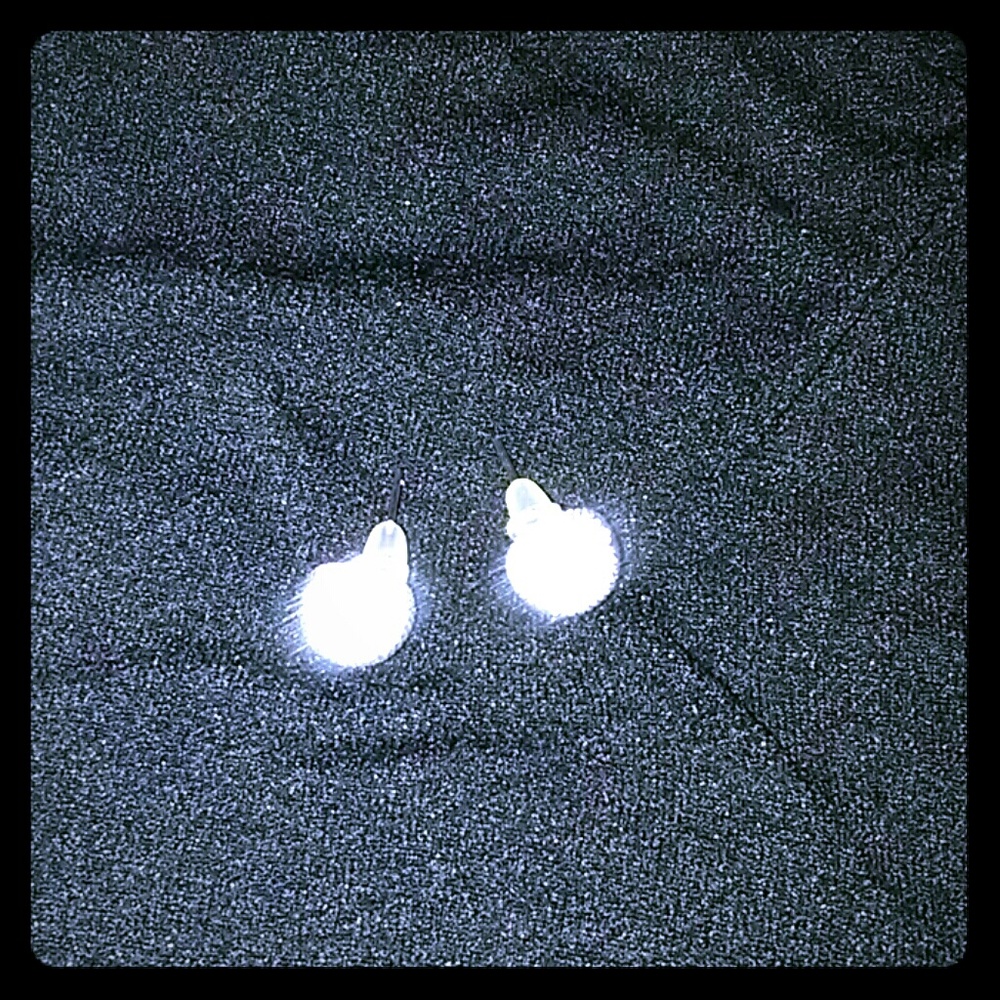 Pequeños aritos bellos